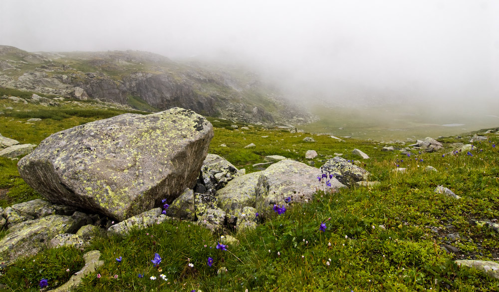 _MG_7121.jpg