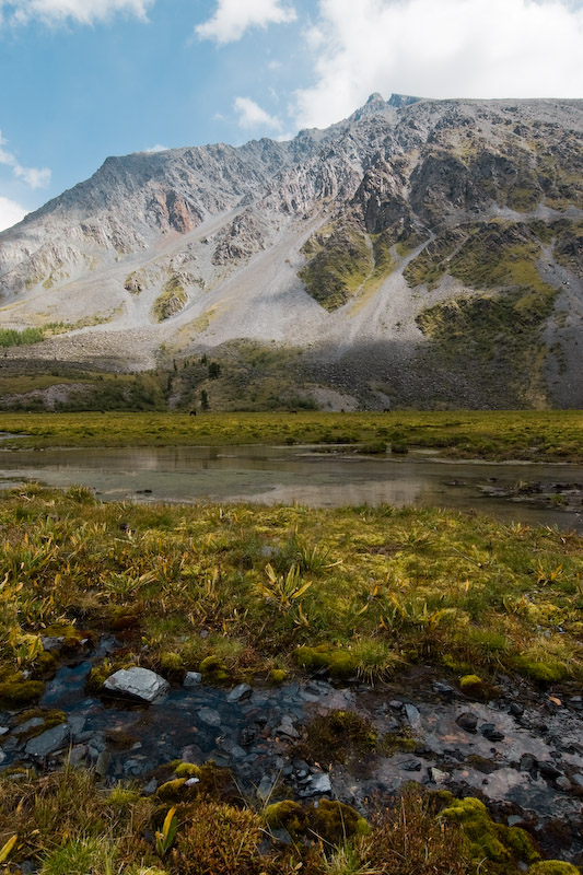 _MG_7345.jpg